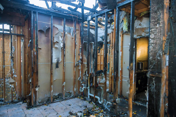 Professional Fire Damage Repair technician working in Bloomfield, IA